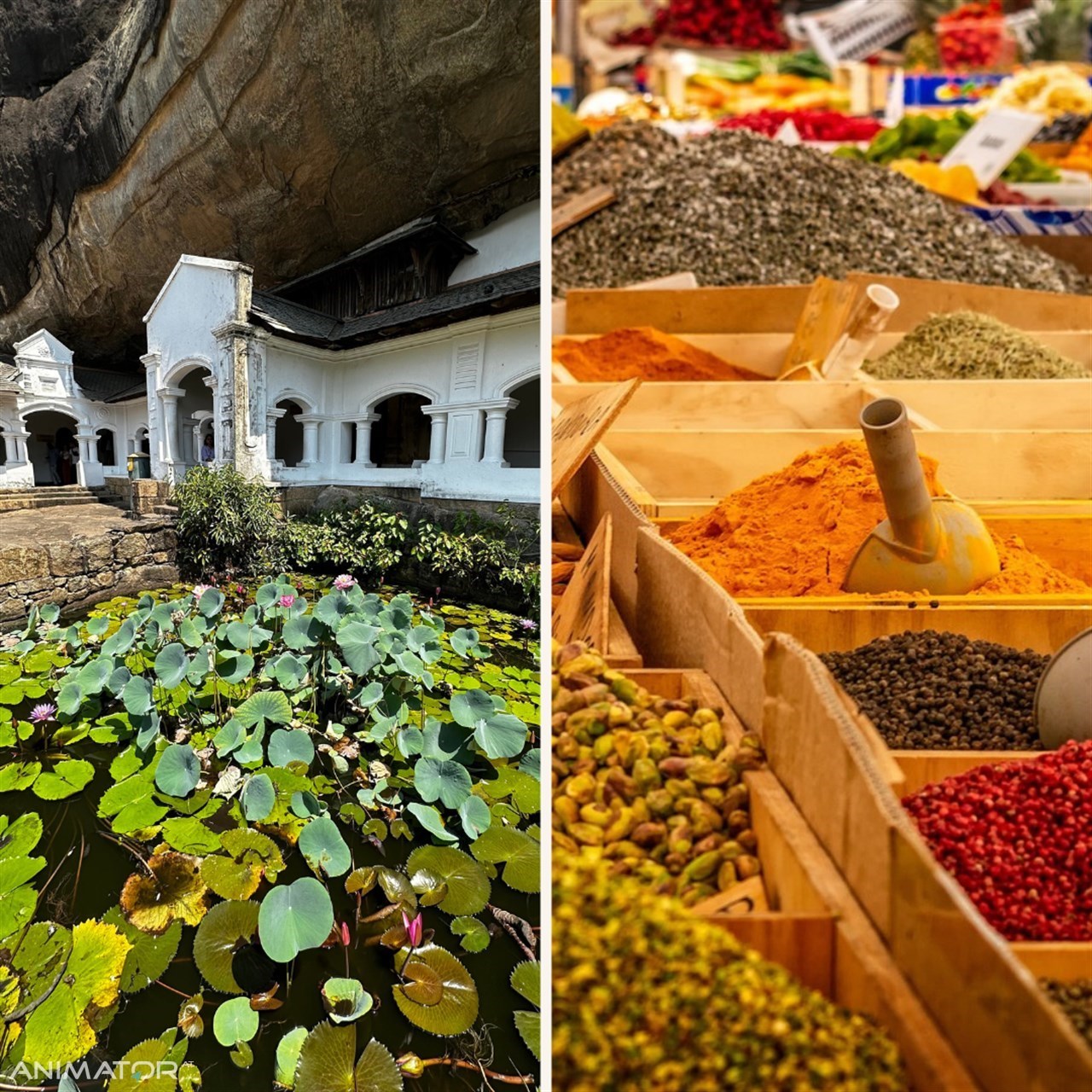 Sri Lanka - Podróże Marzeń